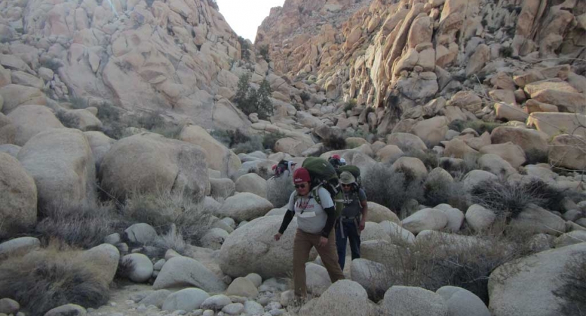 a group of people navigate over large rocks in Joshua Tree National Park